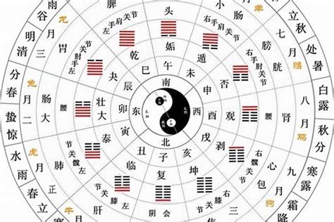 十天干十二地支|地支